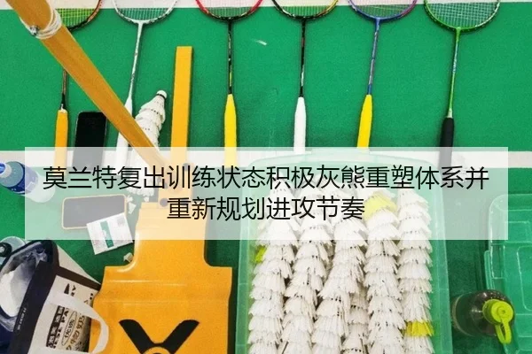 莫兰特复出训练状态积极灰熊重塑体系并重新规划进攻节奏